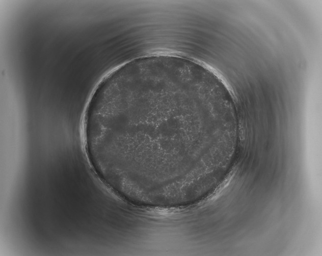 X0000101090987200807241004