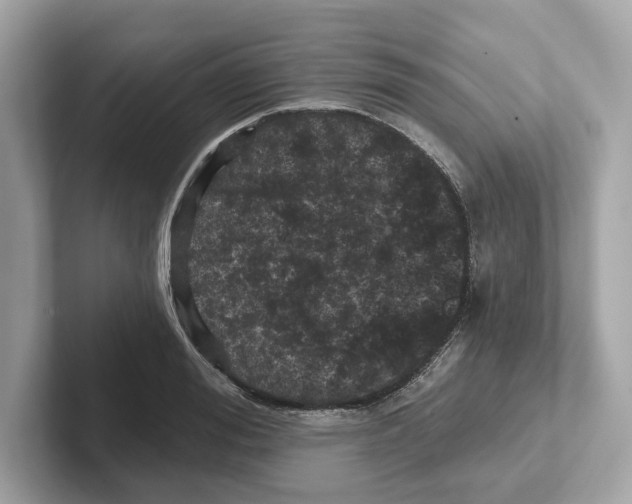 X0000101090988200807241004