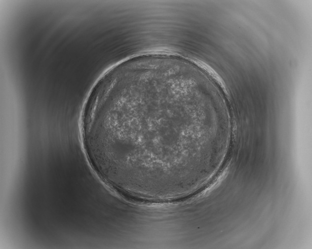 X0000101090989200807241004