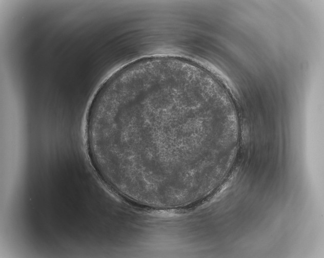 X0000101090990200807241004