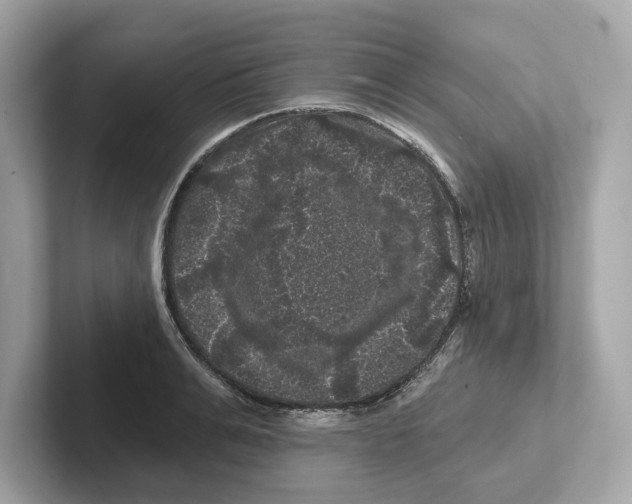 X0000101090991200807241004