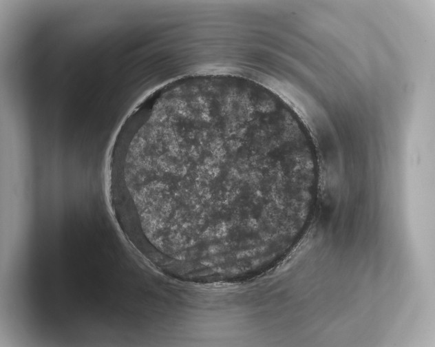 X0000101090992200807241004