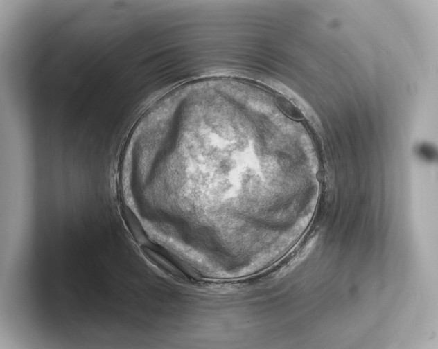 X0000101090993200807241004