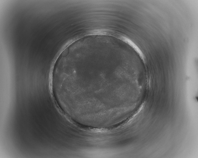 X0000101090994200807241004