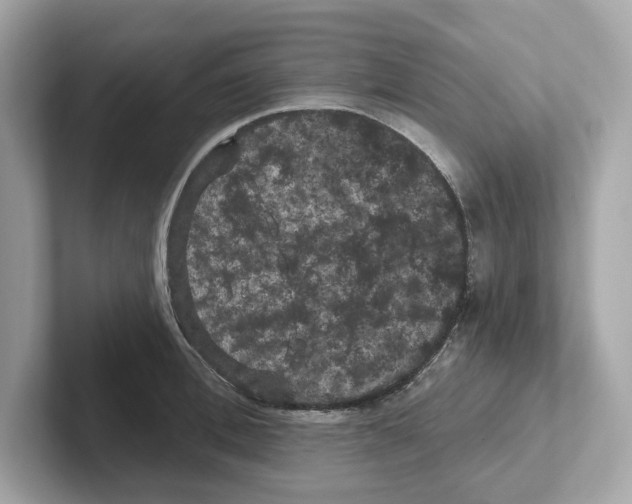 X0000101090996200807241004