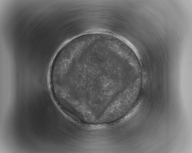 X0000101090997200807241004