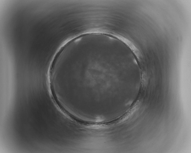 X0000101090998200807241004