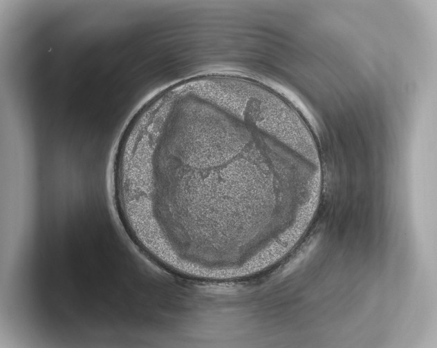 X0000101090999200807241004