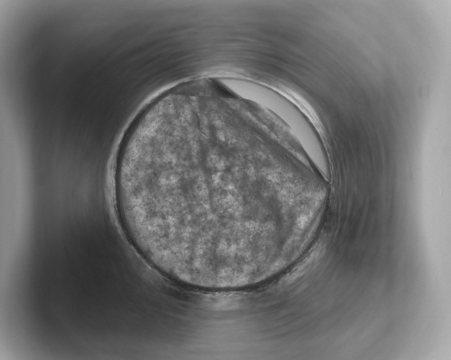 X0000101091000200807241004