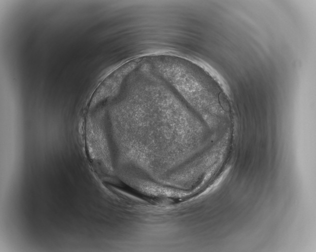 X0000101091001200807241004