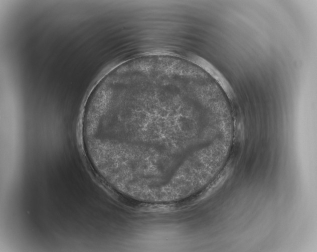 X0000101091002200807241004