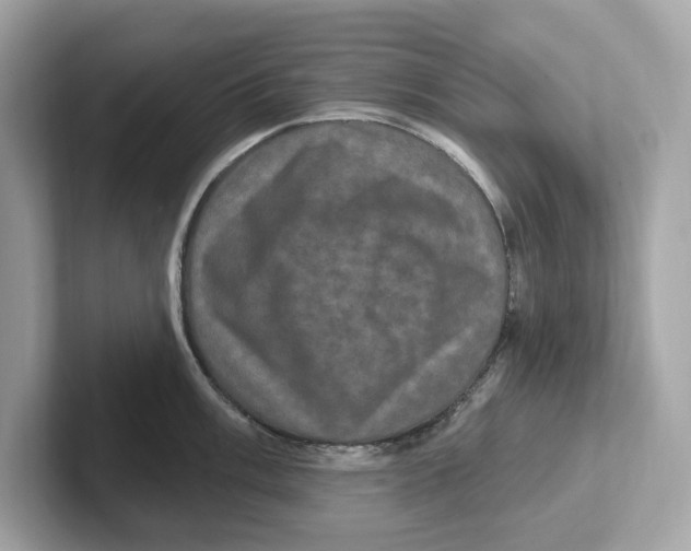 X0000101091003200807241004