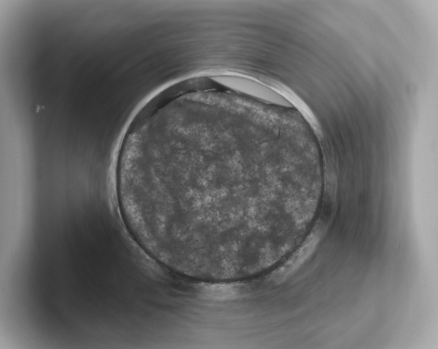 X0000101091004200807241004