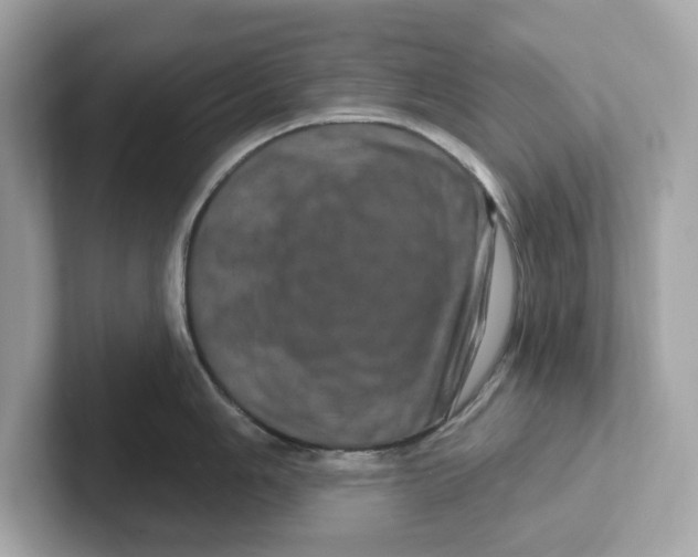 X0000101091006200807241004