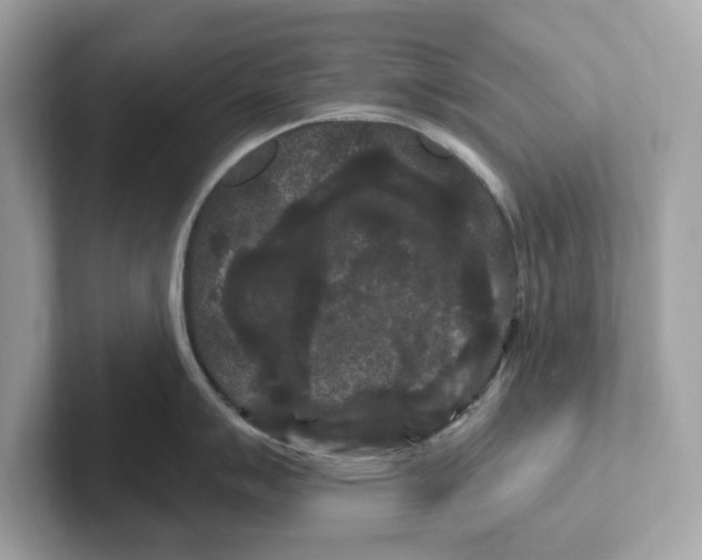 X0000101091007200807241004