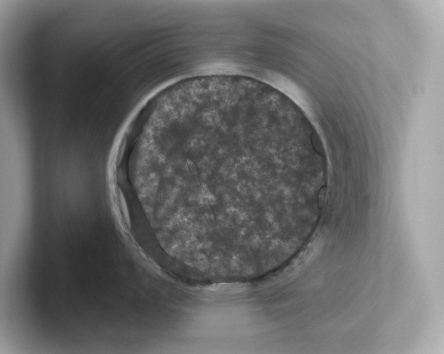 X0000101091008200807241004