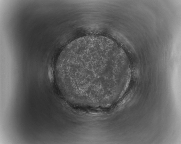 X0000101091010200807241003