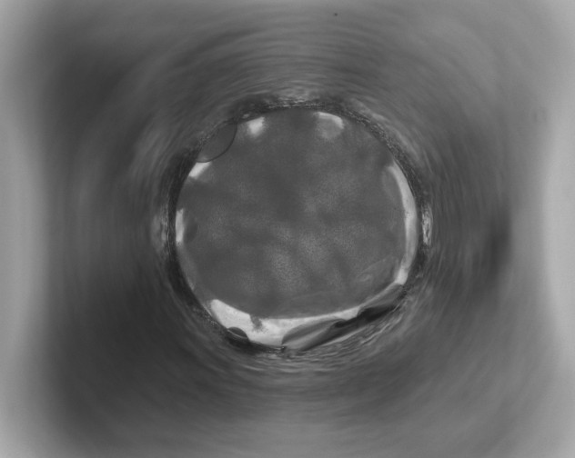 X0000101091011200807241003