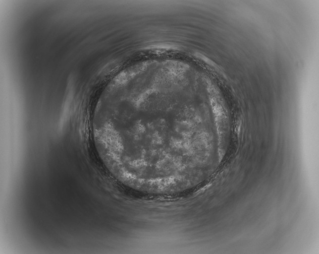 X0000101091014200807241003