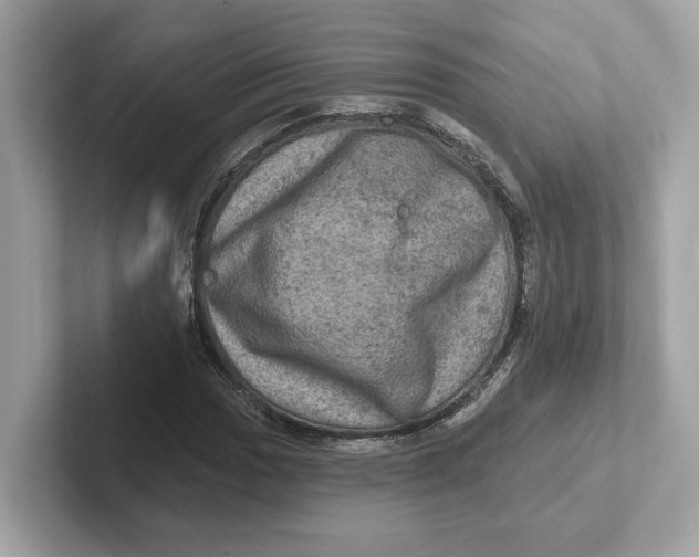 X0000101091017200807241003