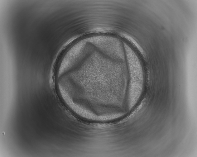 X0000101091018200807241003