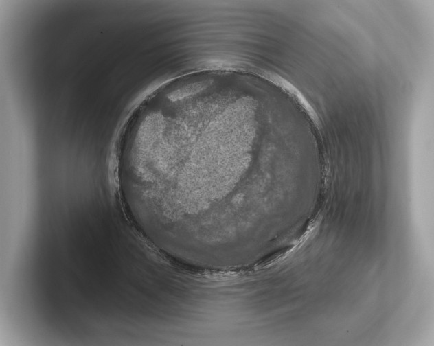 X0000101091019200807241003