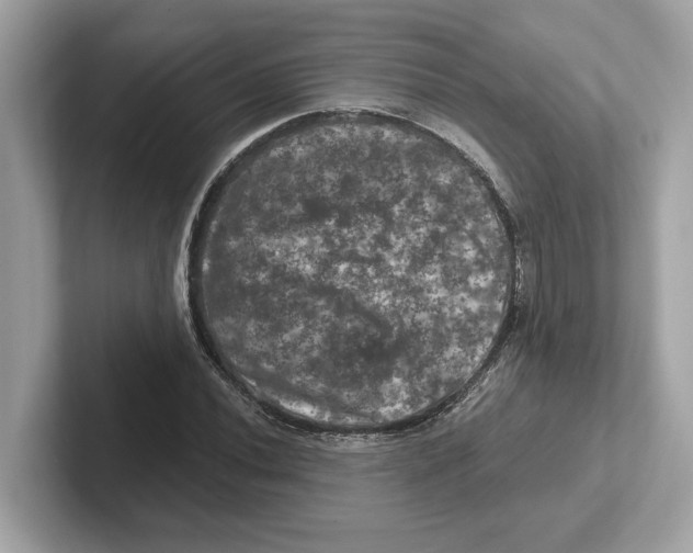 X0000101091020200807241003