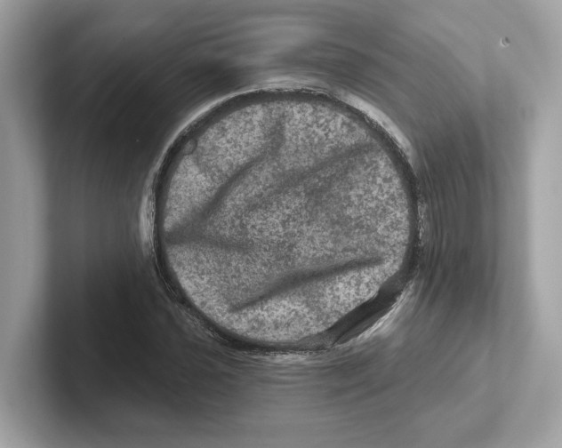 X0000101091021200807241003