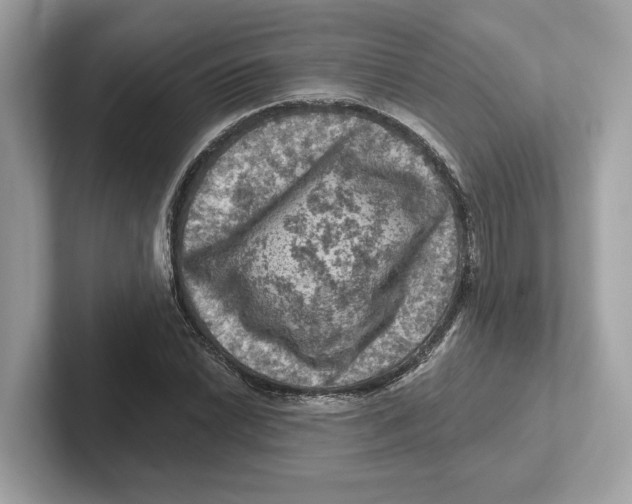 X0000101091022200807241003