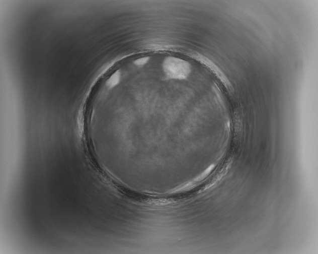 X0000101091023200807241003