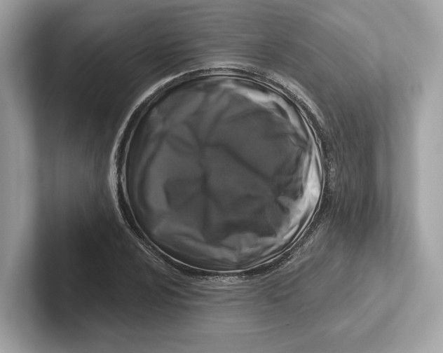 X0000101091024200807241003