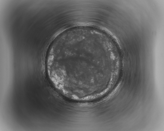 X0000101091025200807241003