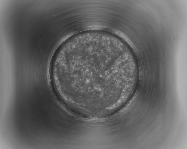 X0000101091026200807241003