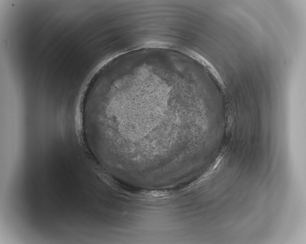 X0000101091027200807241003