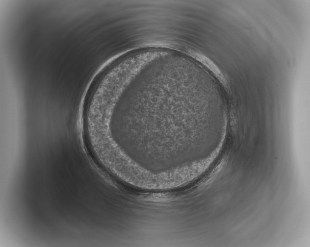 X0000101091028200807241003