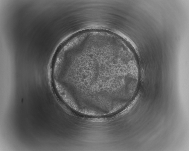 X0000101091029200807241003