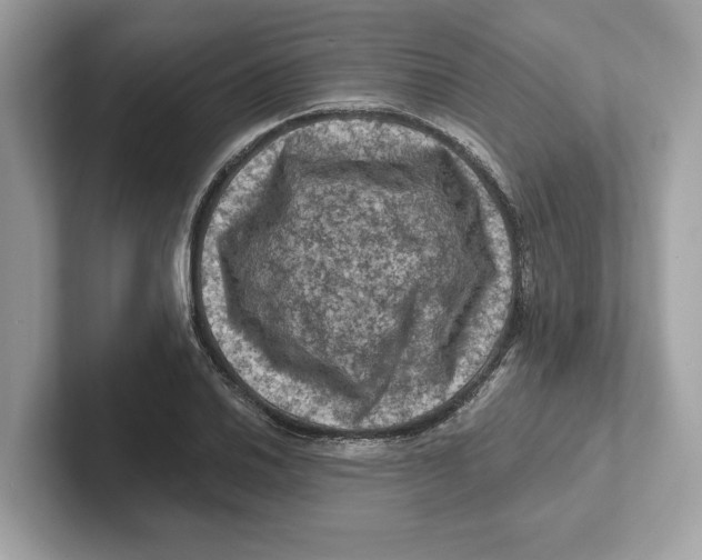 X0000101091030200807241003