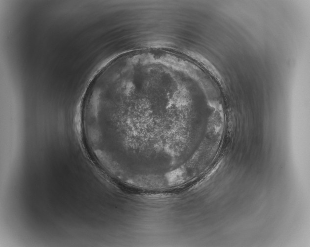 X0000101091031200807241003