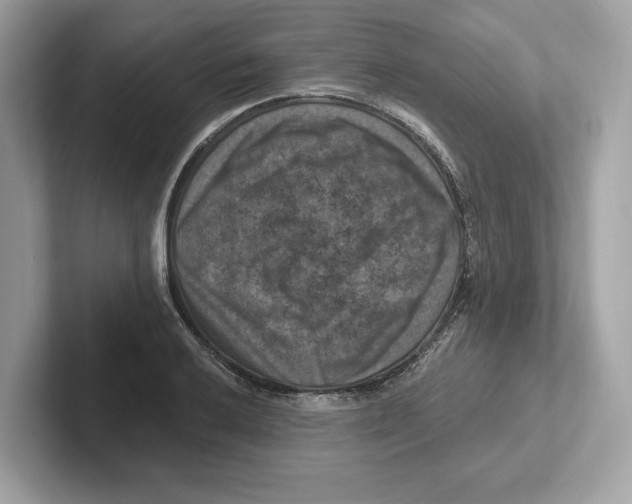 X0000101091032200807241003