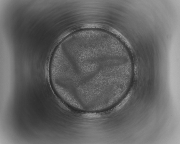 X0000101091033200807241003