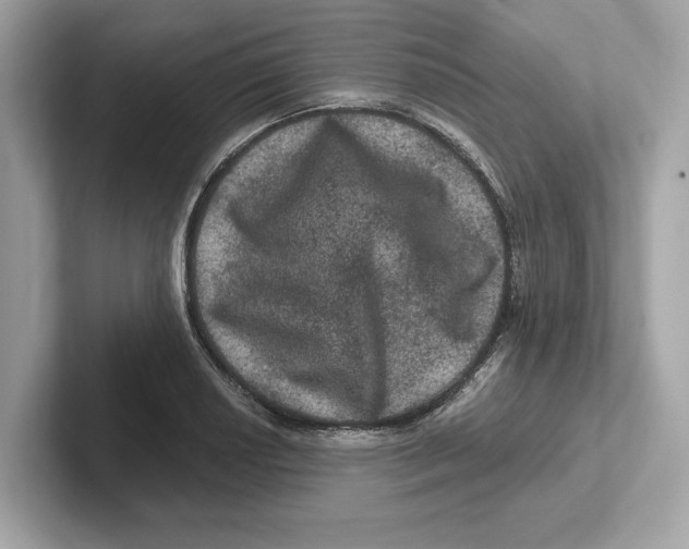 X0000101091034200807241003