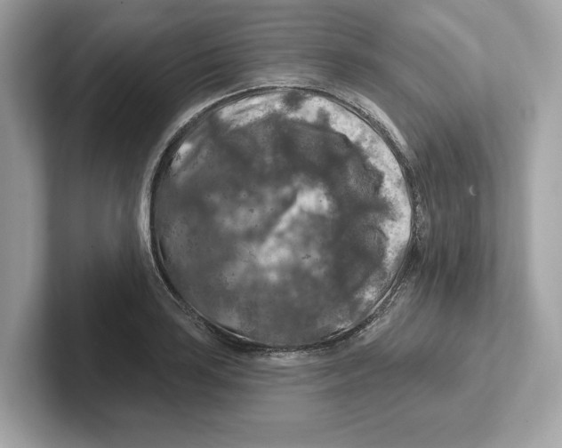 X0000101091035200807241003