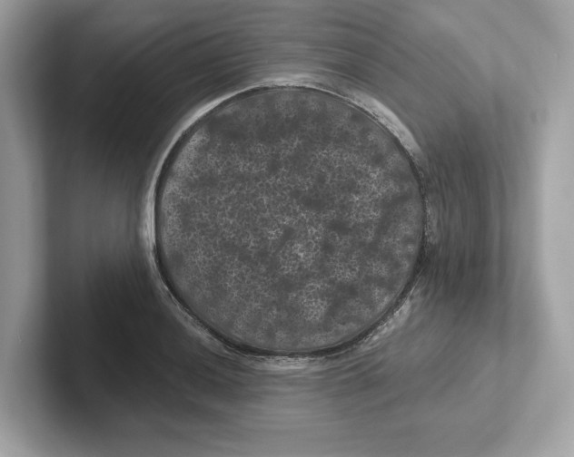 X0000101091036200807241003