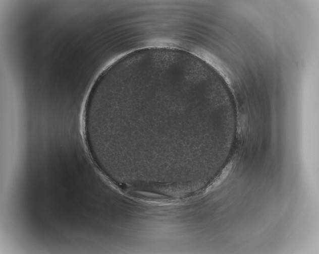 X0000101091037200807241003