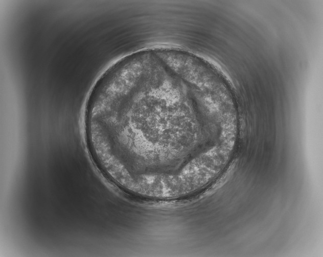 X0000101091038200807241004