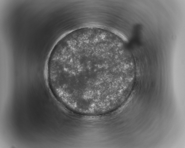 X0000101091040200807241004