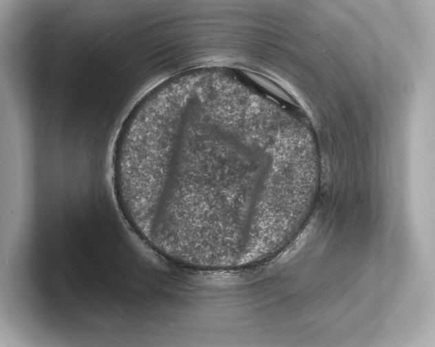 X0000101091042200807241004