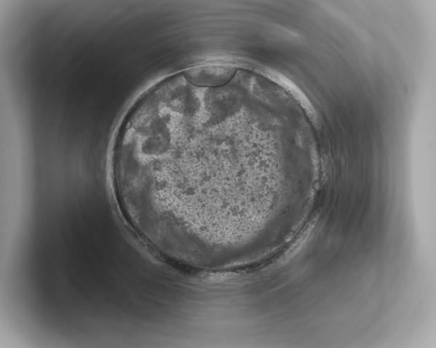 X0000101091043200807241004