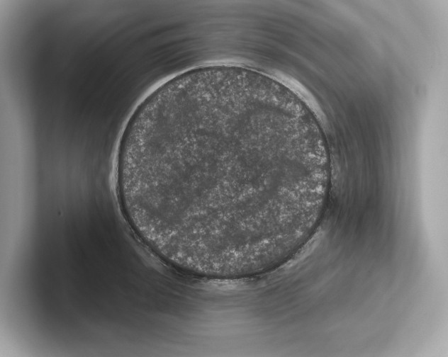 X0000101091044200807241004