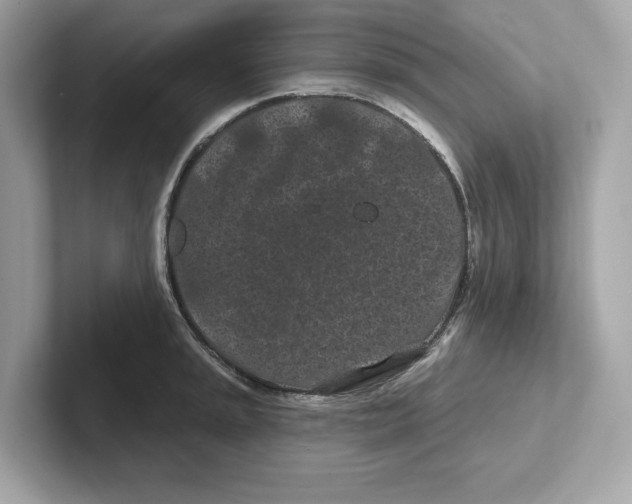 X0000101091045200807241004